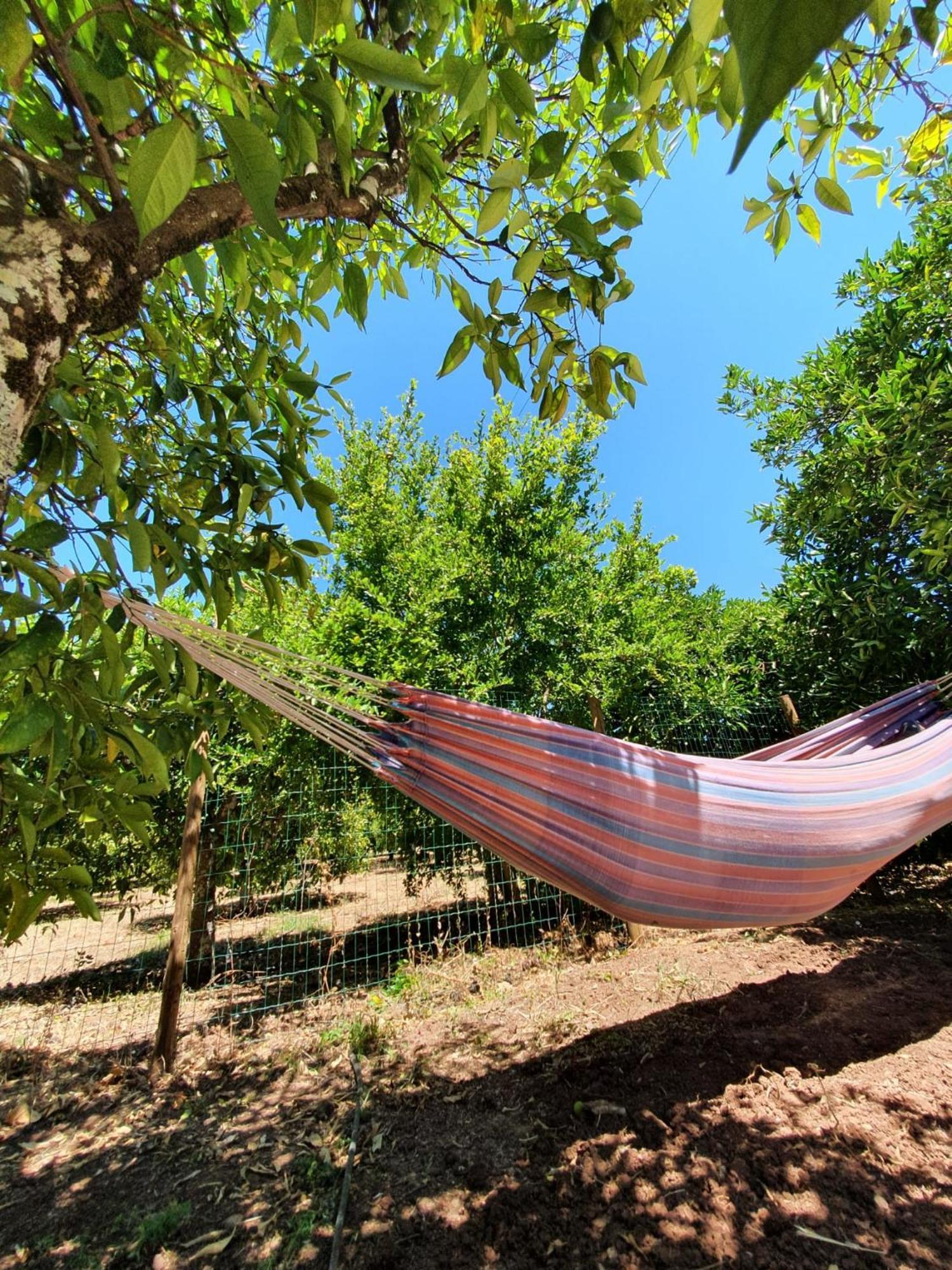 Chalet Villa Mosquito Silves Kültér fotó