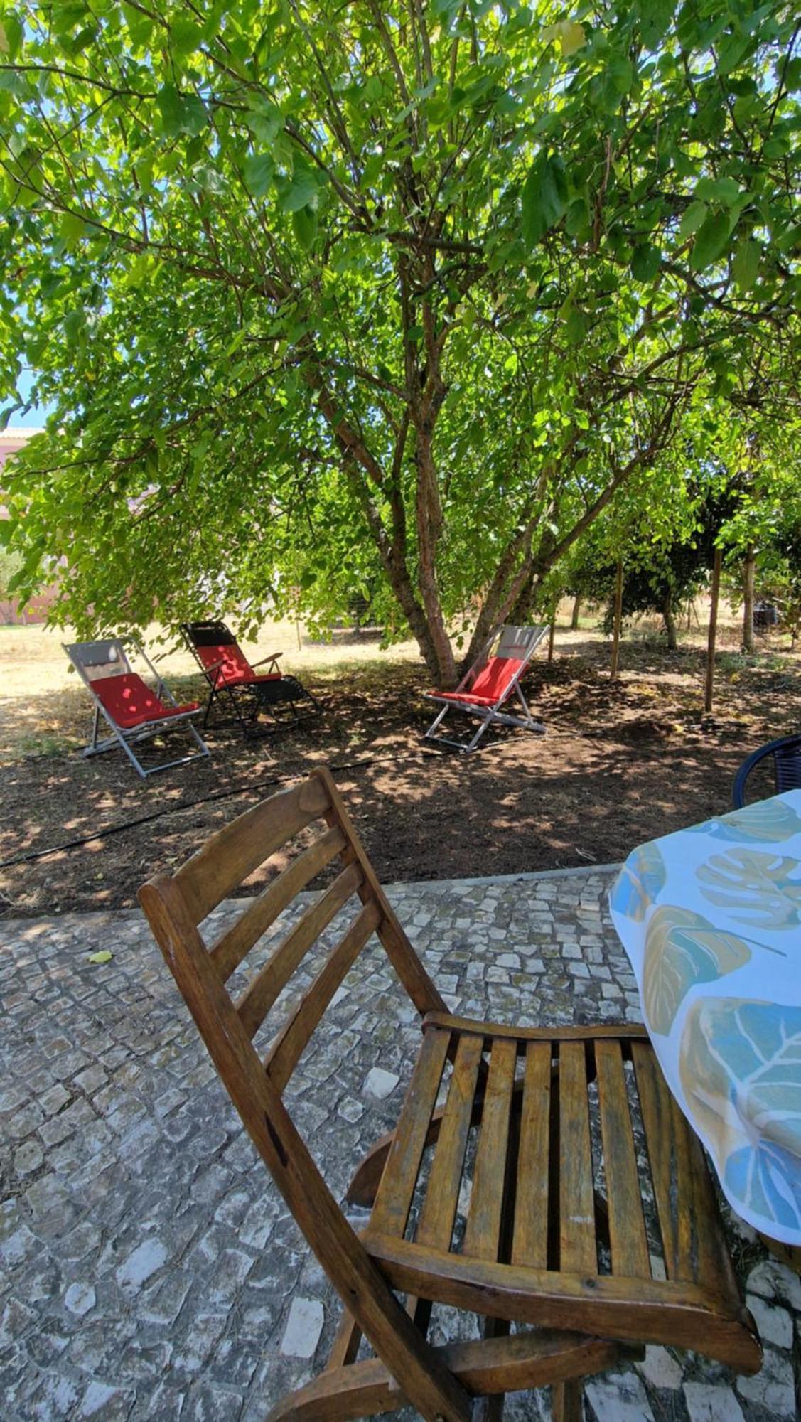 Chalet Villa Mosquito Silves Kültér fotó