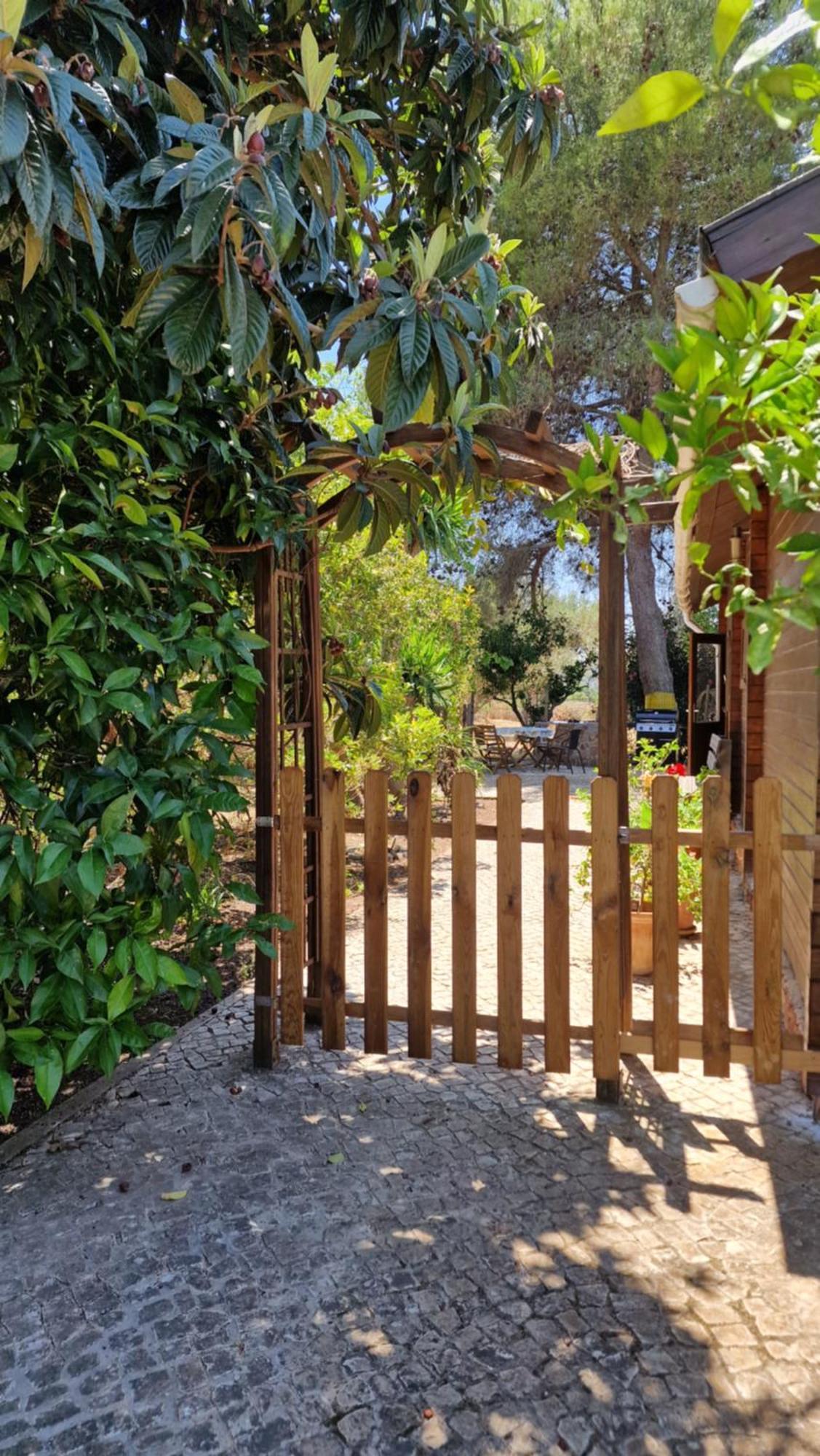Chalet Villa Mosquito Silves Kültér fotó