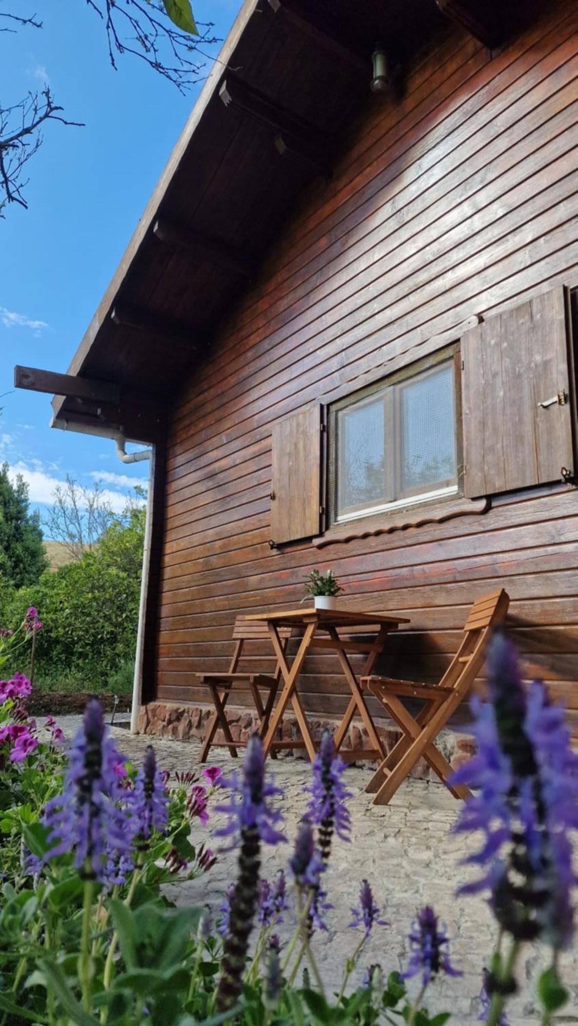Chalet Villa Mosquito Silves Kültér fotó